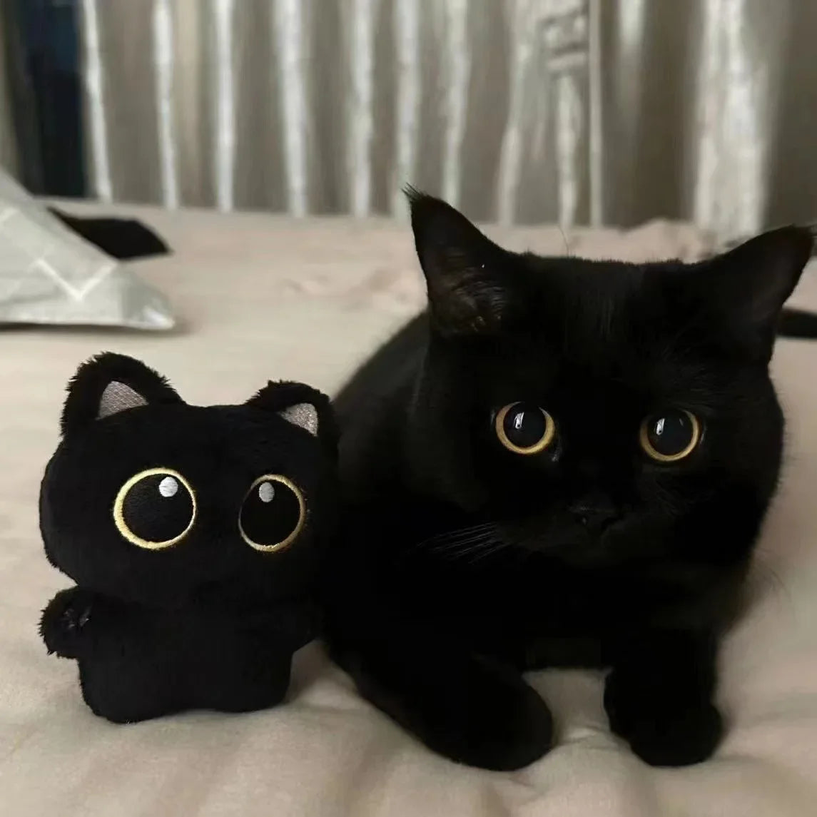 Kitten Plushie
