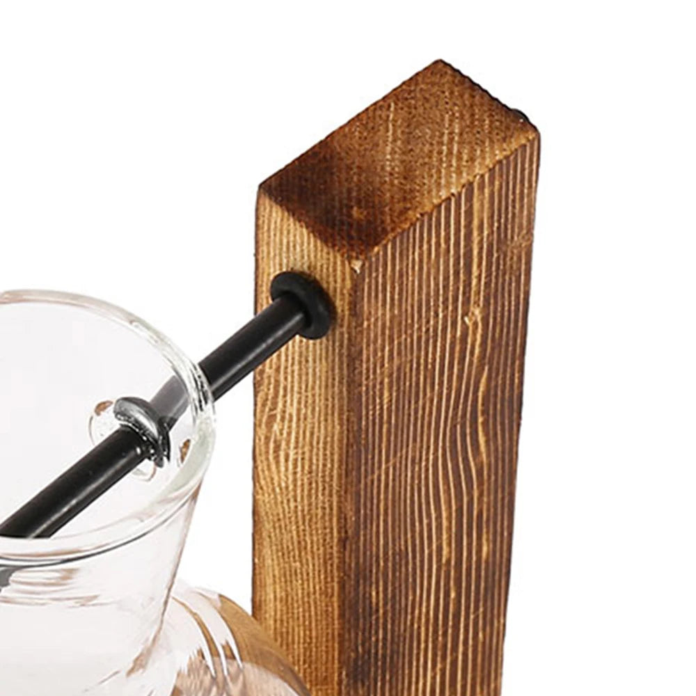 Glass Bulb Plant Vase