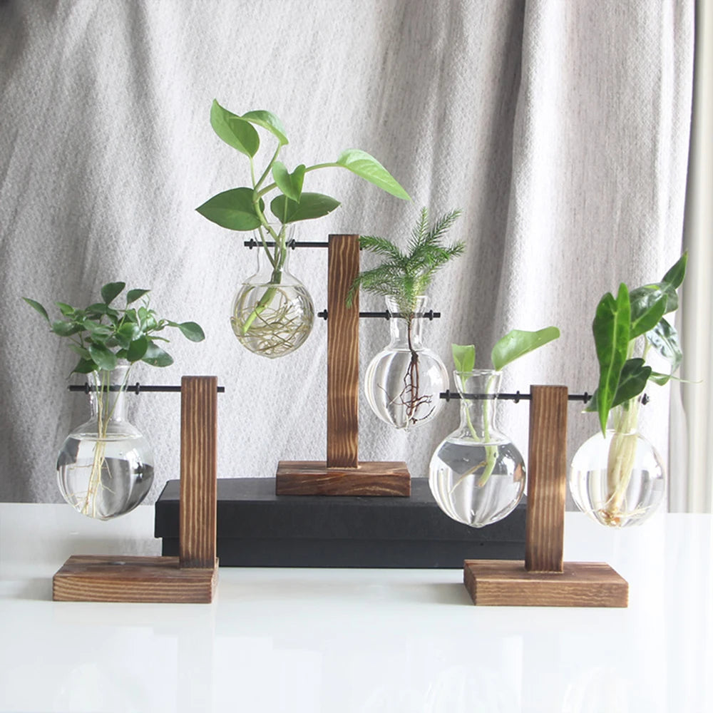 Glass Bulb Plant Vase