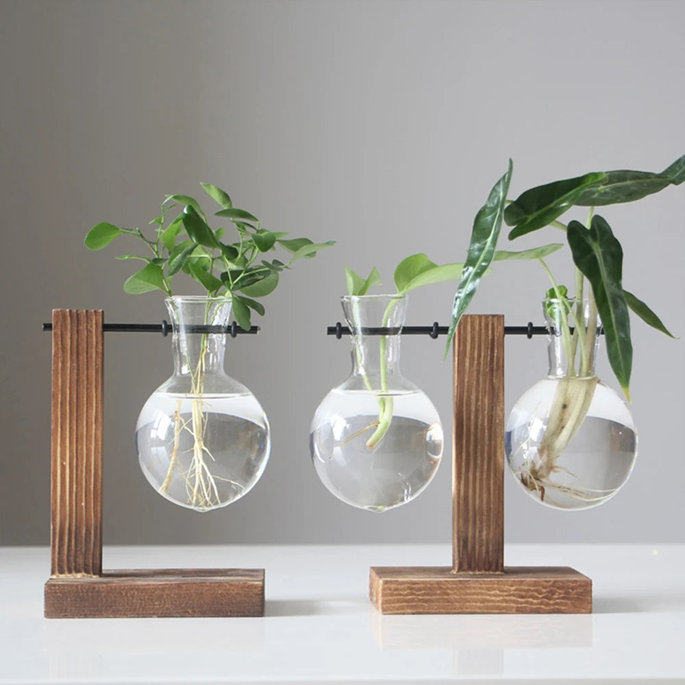 Glass Bulb Plant Vase