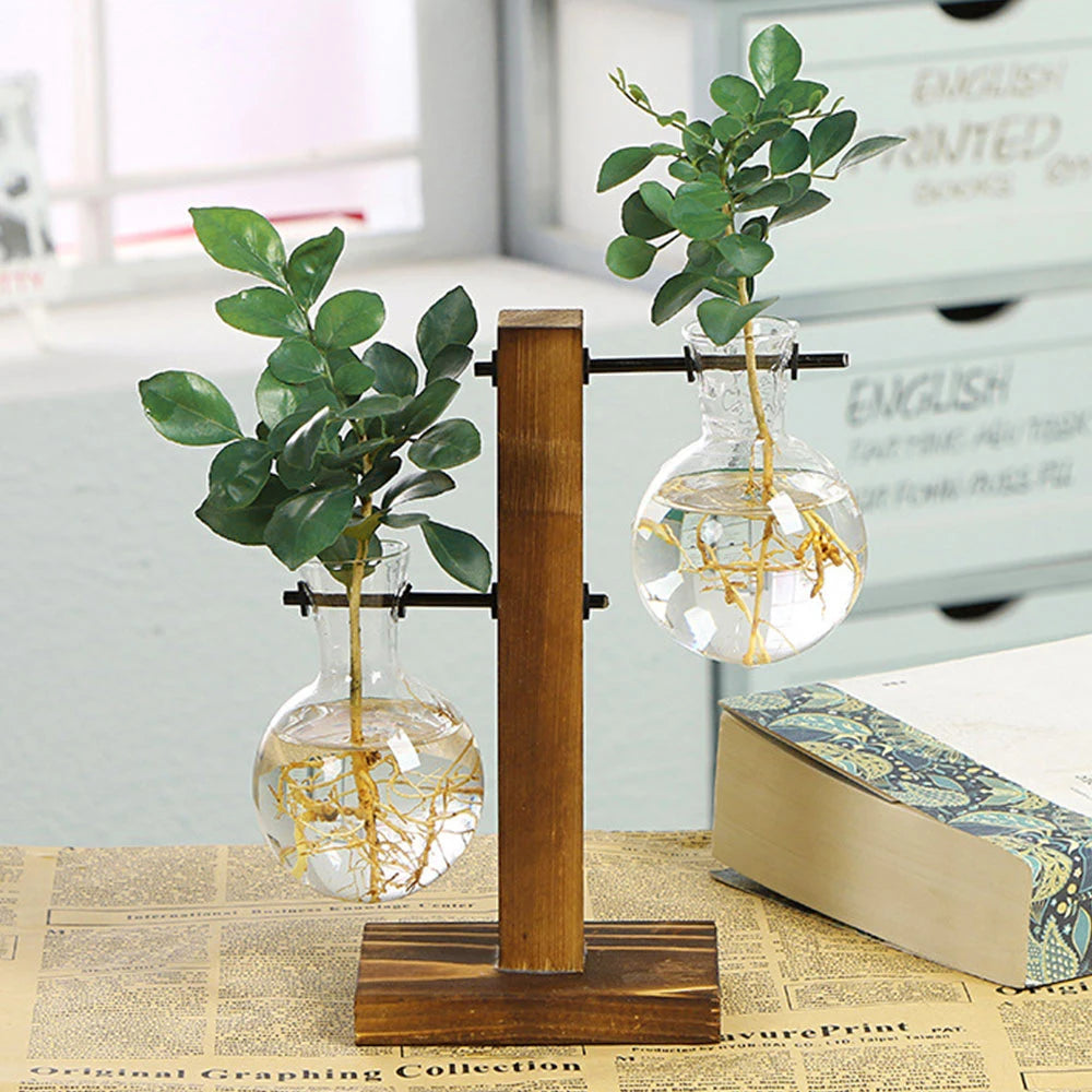 Glass Bulb Plant Vase