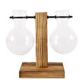 Glass Bulb Plant Vase