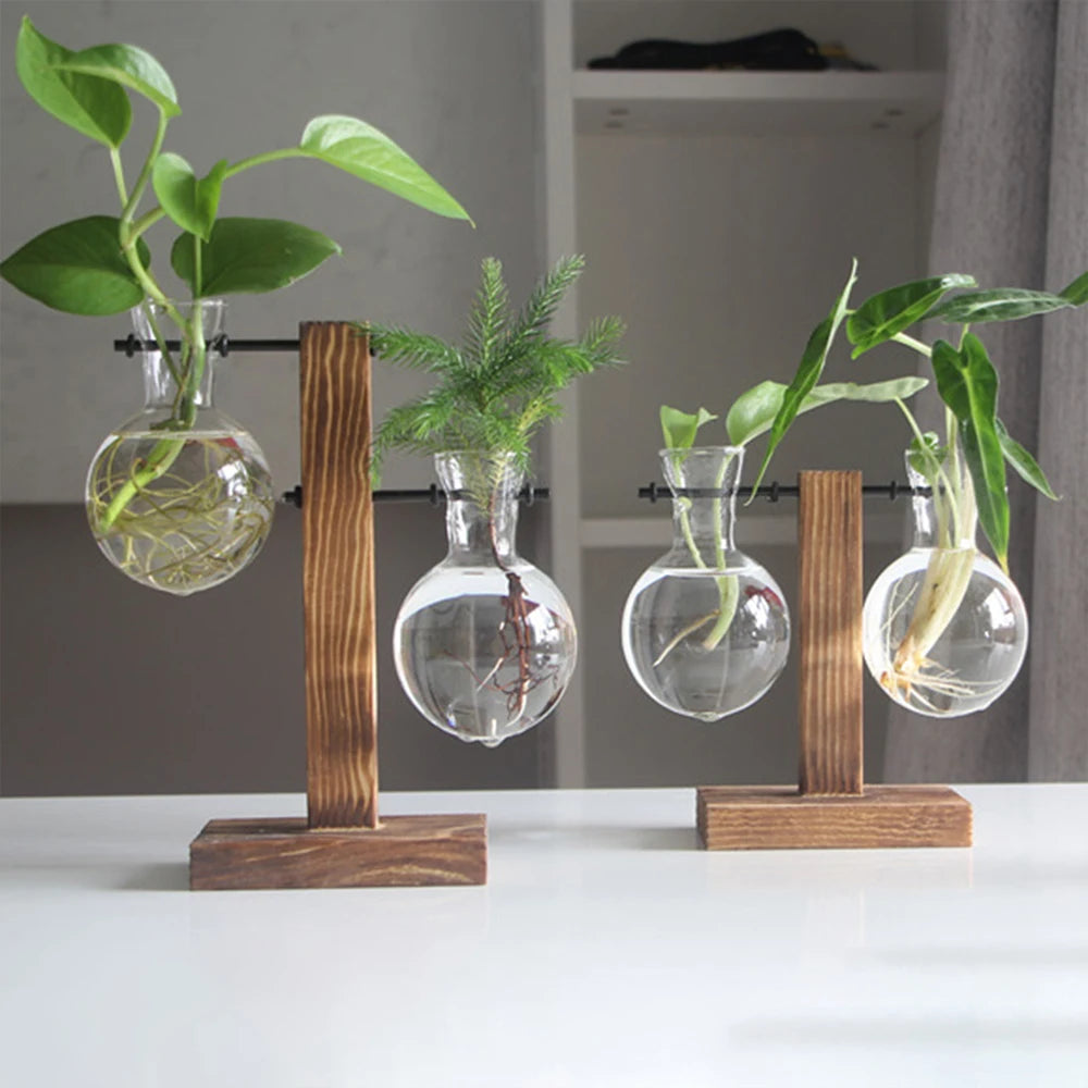 Glass Bulb Plant Vase